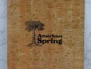 American Spring – American Spring  12