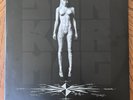 Donker Mag by Die Antwoord ( Vinyl Record, 2014)