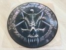 SLAYER - DIVINE INTERVENTION  LIM. PICTURE DISC 2007       METALLICA,DARK ANGEL