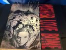 Mother Love Bone - Apple - 180g 35th Anniversary Remaster - Ex/Ex