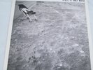 Nicolas Jaar - Space Is Only Noise [CSS055-2] Excellent Vinyl LP - Too Many Kids