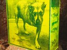 BOX SET Alice In Chains Self Titled 30th Anniversary dirt jar unplugged facelift