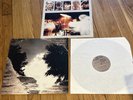 Sad Lovers & Giants *Feeding the Flame LP Record Orig UK 1983 w/Insert Near MINT
