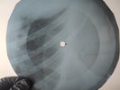 LED ZEPPELIN BLACK DOG X-Ray USSR Record Roentgen Bone Ribs Music Vinyl