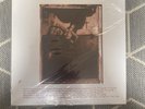 Pixies - Surfer Rosa Vinyl MFSL 1-296 US 2009 Numbered #1132 Sealed