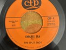 The Split Ends The Endless Sea Rich With Nothin’ Garage Rock  US 45 7”