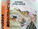 CARAVAN IN THE LAND OF GREY AND PINK DERAM K16P9059 1LP