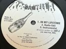 Jay-Z In My Lifetime 12