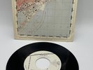 45 RPM MARTHA AND THE MUFFINS ECHO BEACH Virgin Records 1980 Promo