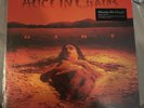 Alice in Chains - Dirt Columbia 2009 12