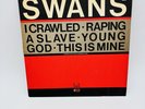 Swans 