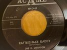 JOE D JOHNSON Rattlesnake Daddy 7