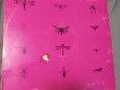 Syd Barrett Still Laughing Pink Rarites