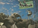 Fairport Convention - Unhalfbricking (LP, Album, Mon) (Very Good Plus (VG+))