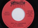 Modern Soul 45 G.C. CAMERON Wait Till Tomorrow JAMILA NM HEAR p