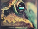 TOAD: toad BELLAPHON 12