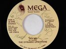 Modern Soul 45 - Dynamic Upsetters - Try Me/Make Myself Clear - Mega - VG+ rare