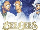 Bee Gees - Timeless (The All-Time Greatest Hits) - Vinyl - New