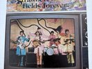 Beatles Strawberry Fields Forever Vinyl featuring Alternate Tracks from 1960s