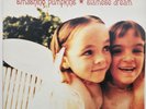 Smashing Pumpkins - Siamese Dream 2xLP Gatefold Vinyl 1993 Hut HUTLP 11