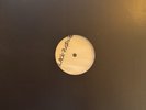Mark Lanegan & Duke Garwood Black Pudding Test Pressing NM *RARE*