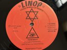 Redemption Posse - I Remember RARE Digi Roots Killer 12” Original