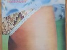 Flash - Flash - LP - VG+/VG+ - Peter Banks