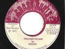 RARE REGGAE 45 - ROOTS ON THE GRASS ROOTS LABEL - PRAISES TO JAH