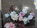 NEW ORDER - POWER CORRUPTION & LIES 2015 EU REISSUE VINYL LP Fact75 EX/EX