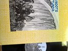 MISTY IN ROOTS Musi-O-Tunya PEOPLE UNITE PU105 1985 NM