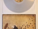RADICAL FACE Ghost CLEAR VINYL LP 2012 Ben Cooper M-/M- With Insert RARE