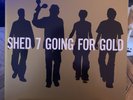 Shed Seven Going for Gold Double LP, Gold Vinyl, Greatest Hits