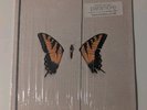 Paramore Brand New Eyes Vinyl Teal Newbury Comics 2019 1200 Copies Only