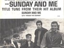 JAY AND THE AMERICANS-RARE PICTURE SLEEVE + 45--(SUNDAY AND ME)--PS--PIC--SLV