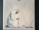 Shaykh Hanif X Michaelangelo - Wilderness Of North America - Tri Color Vinyl