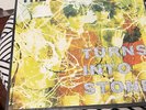 The Stone Roses Turns Into Stone Vinyl Record, Silvertone, Rock