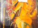 Taylor Swift Teardrops on My Guitar Vinyl