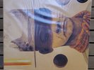 BRAND NEW Vinyl Moon Vol. 98 A Long Road All Extras Included VIP LE Color Vinyl