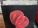 PETER GABRIEL - Scratch My Back 2010 LTD Edition LP + CD Box Set w/ Signed Print