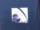 Pearl Jam - 1993-1995 - 5LP MC 3 CD Deluxe Edition Box