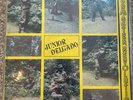Junior Delgado - Bushmaster Revolution RARE Reggae Roots LP