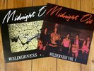 Midnight Oil Wilderness Rare Double Album New