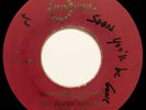 Blues Busters SOON YOU'LL BE GONE / CAN'T BELIEVE Rare SKA Sunshine 45