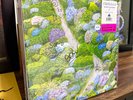 Fiddlehead - Between the Richness SIGNED