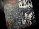 Sentenced “Shadows Of The Past” Vinyl LP
