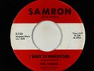 Garage 45 - Thee Avantis - I Want To Understand - Samron