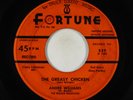 R&B Rocker 45 - Andre Williams - The Greasy Chicken - Fortune