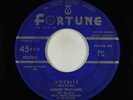 R&B Soul Popcorn/Blues 45 - Andre Williams - Mozelle - Fortune