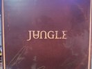 Jungle - Sunshine Signed Black Vinyl  *IN HAND*