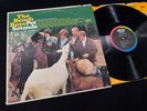 The Beach Boys 